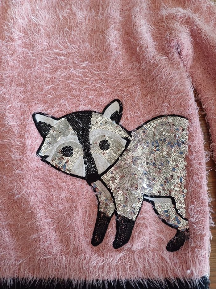 Pull raton-laveur - photo numéro 2