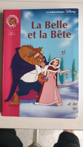 Livre La Belle et la Bête
