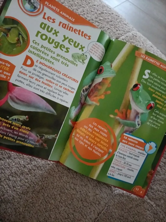 Livre Disney nature kids mes amis animaux n°1 - photo numéro 11