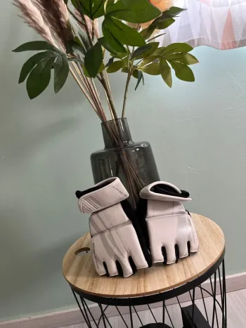 Mitaines de boxe