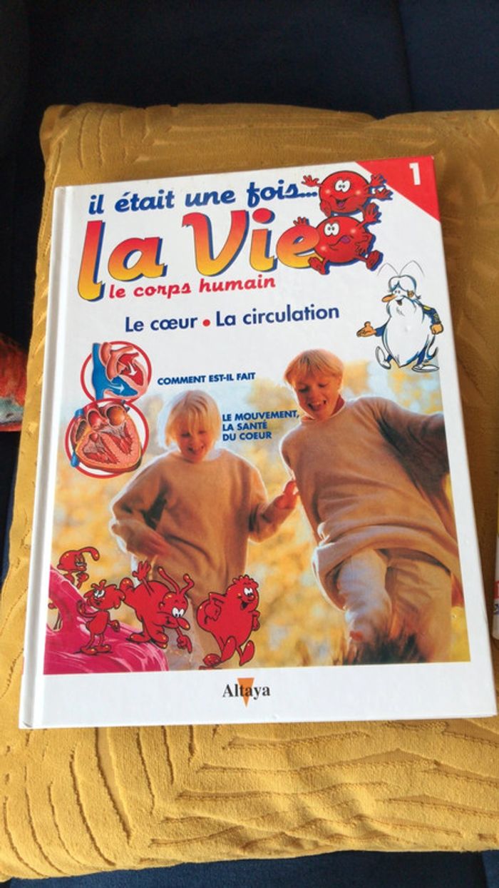 Collection il était une fois la vie le corps humain - photo numéro 2