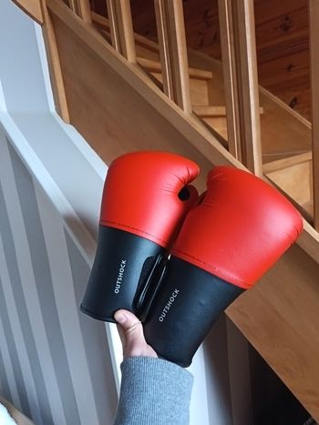 Gants de boxe