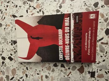 Délivre nous du mal - Chrystel Duchamp -