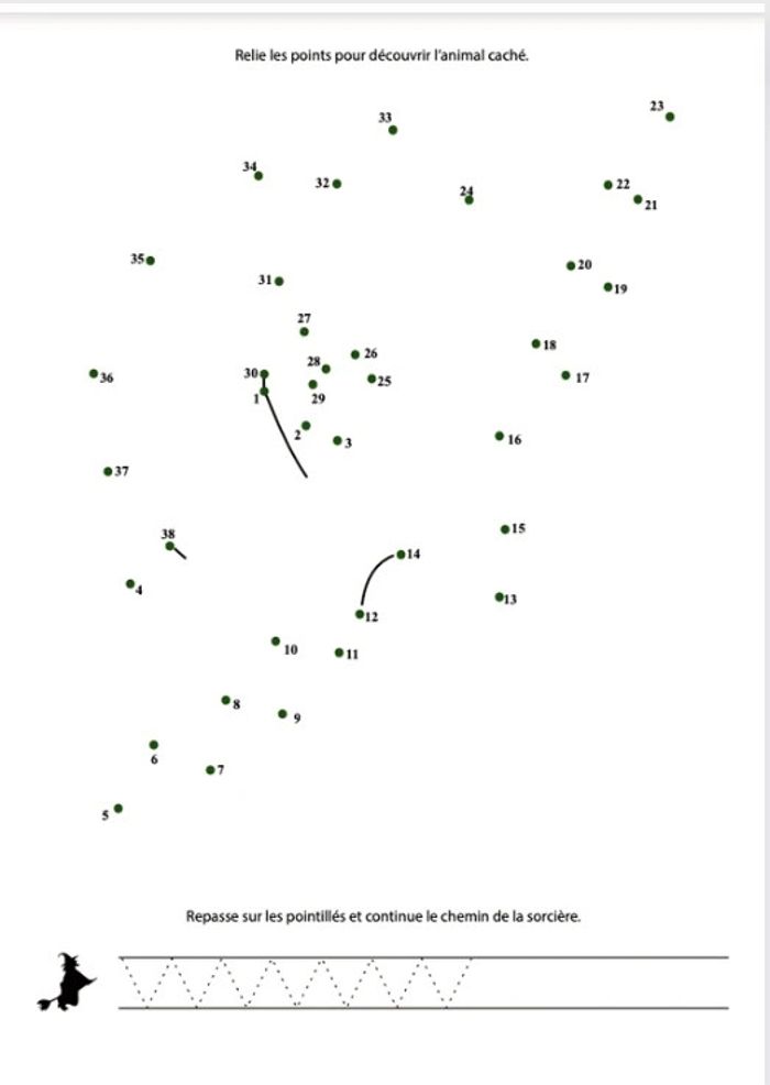 Feuilles activités - photo numéro 8