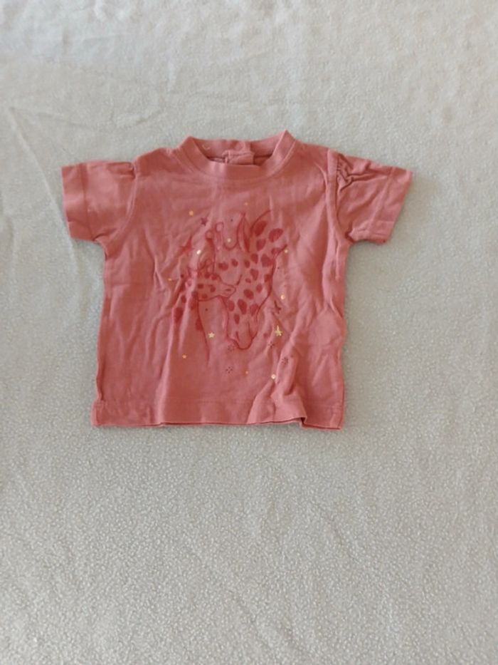 Lot tee-shirt été 6 mois - photo numéro 16