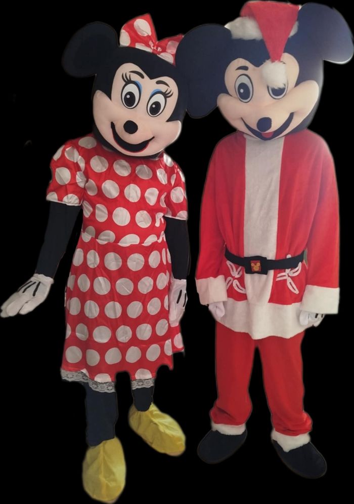 Mascotte Mickey et Minnie - photo numéro 2