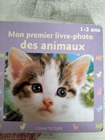 Livre photo des animaux