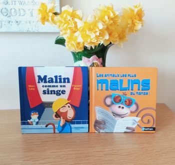 🐵 2 petits livres pour enfants - Nathan / Hachette Jeunesse 🐵