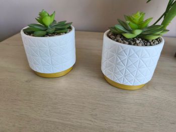 Lot 2 plantes grasses artificiels