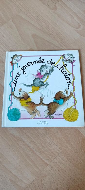 Livre d'histoire sur " petits chats