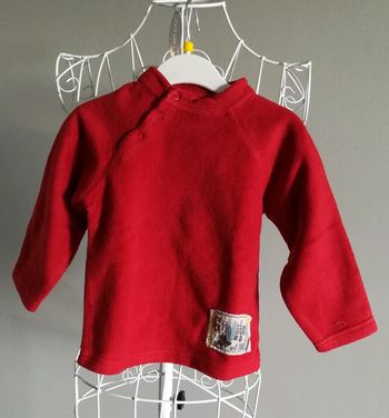 Pull polaire