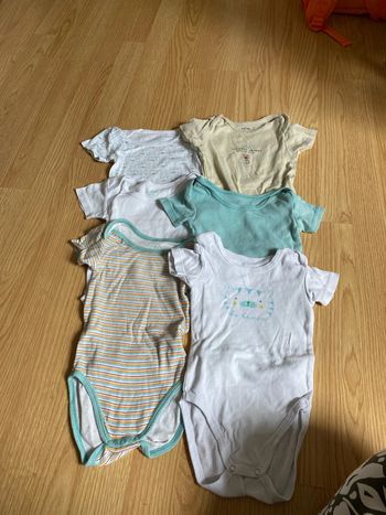 Bodies