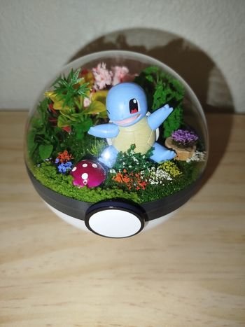 Pokeball carapuce