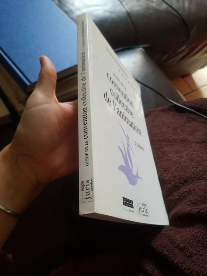 Ĺivre guide de la convention collective de l'animation pr d - photo numéro 2