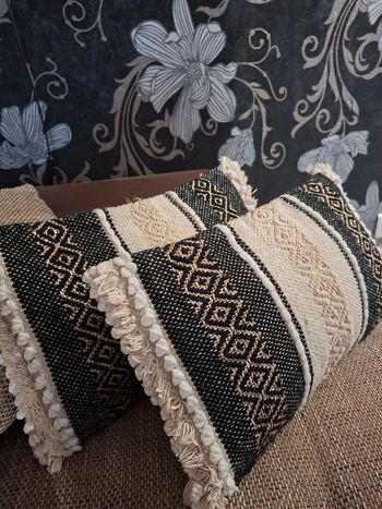 2housses de coussins decoratifs