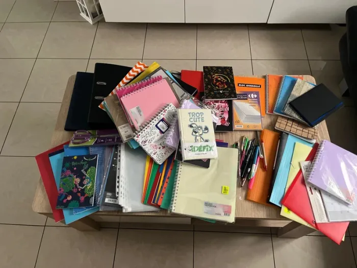 Énorme lot de fournitures scolaires neuves ou en très bon état