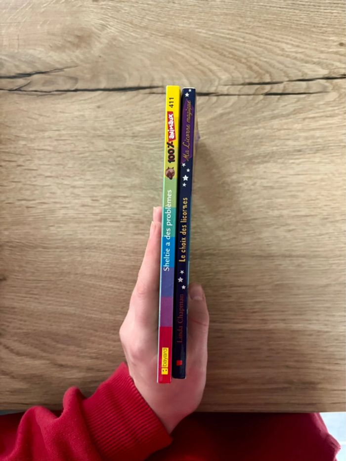 Lot de livres Sheltie / Ma licorne Magique pour enfants - photo numéro 3