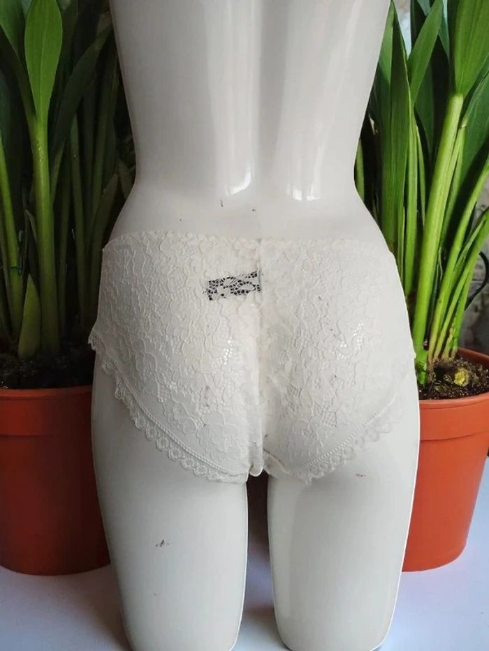 Culotte slip - photo numéro 4