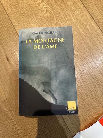 Livre la montagne de l’âme
