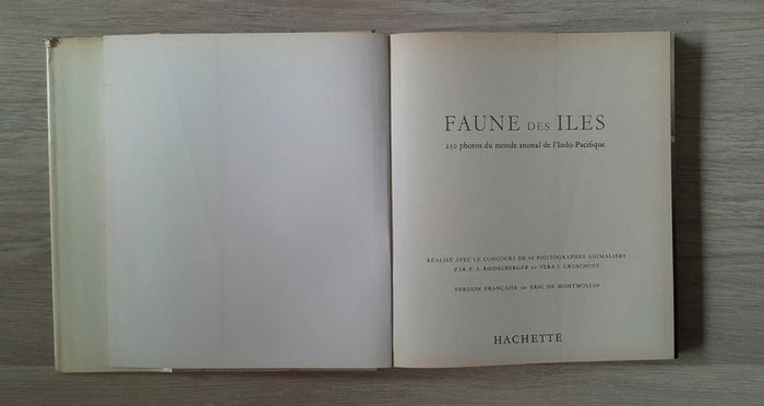 Faune des îles - photo numéro 3
