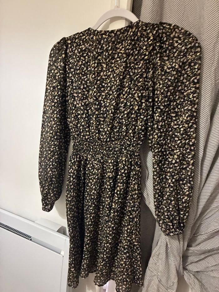 Robe - photo numéro 3