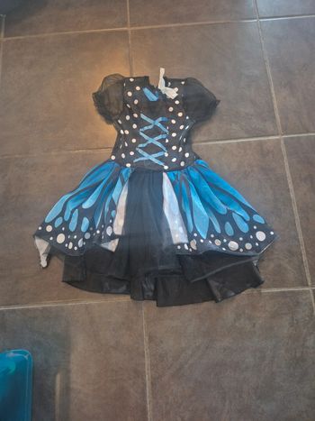 Déguisement papillon enfant