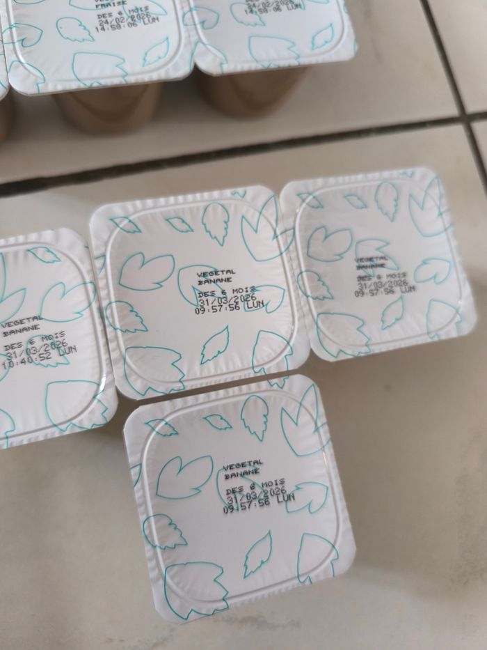 Lot de 17 brassés végétaux - photo numéro 3
