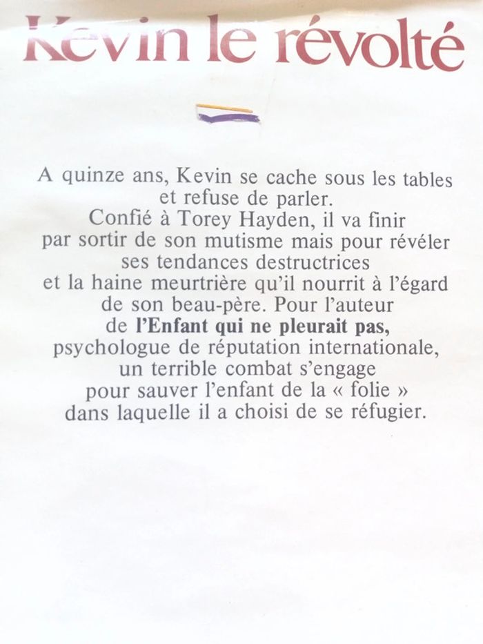 Kévin le révolté - photo numéro 8