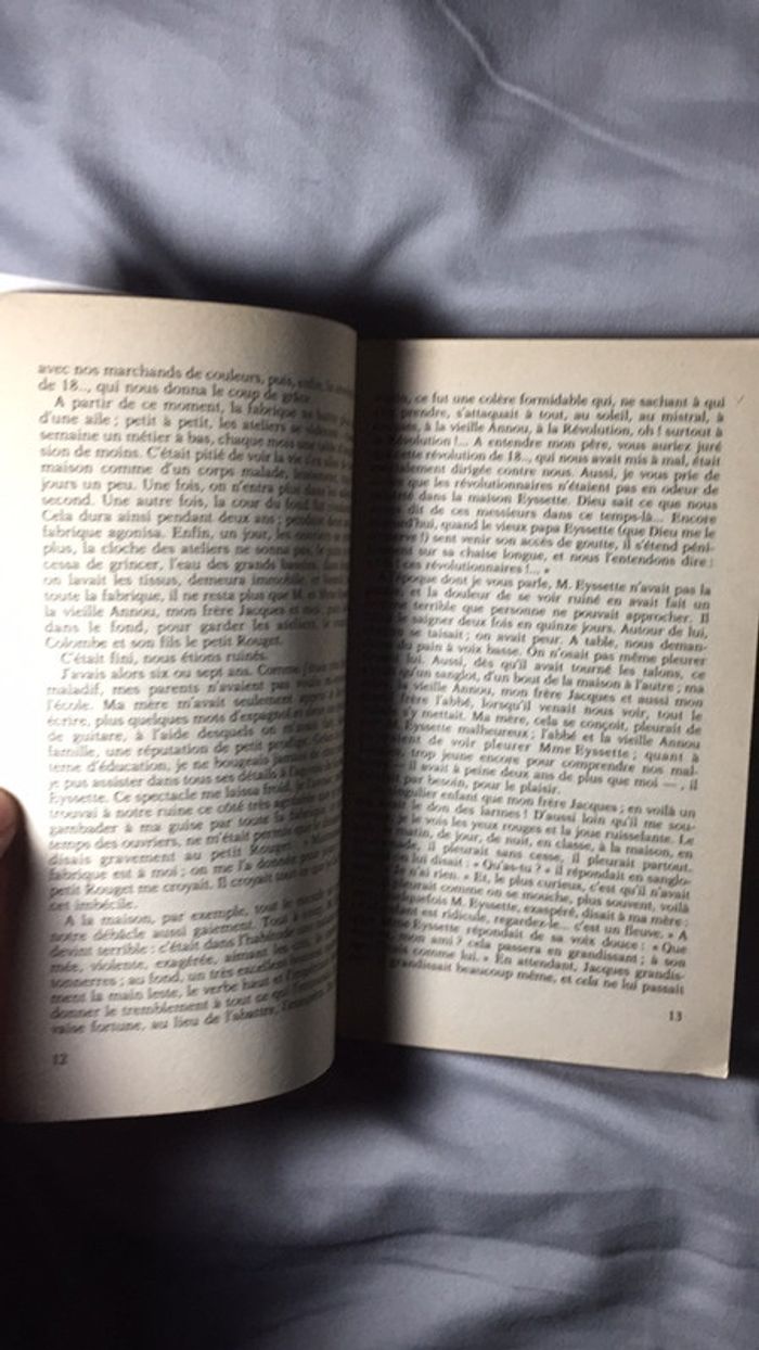 Le petit chose Alphonse Daudet texte intégral Classiques Français - photo numéro 7