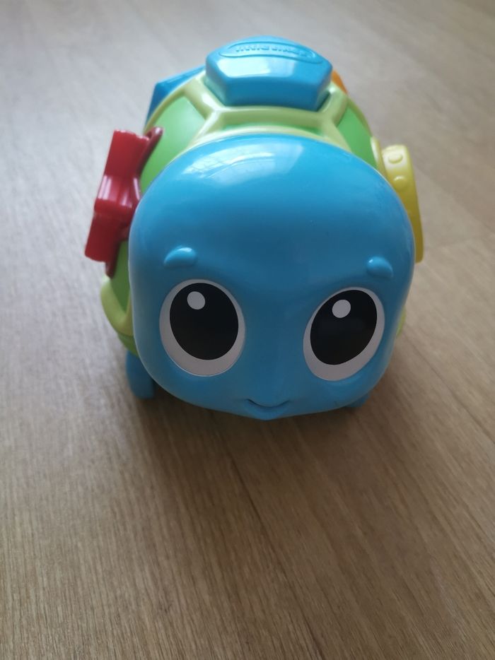 Tortue trieuse de formes - photo numéro 7