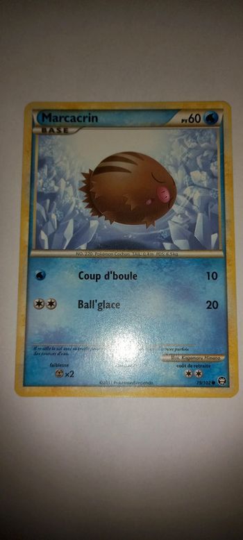 Carte pokémon maracrin