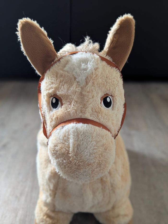 Saut a cheval 🐴 - photo numéro 4