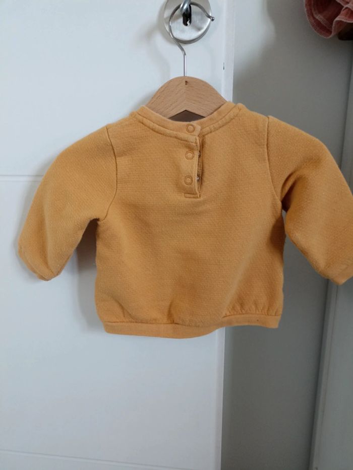 Pull 6 mois TAO - photo numéro 4