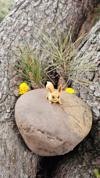 Super figurine Pokemon Nintendo Évoli