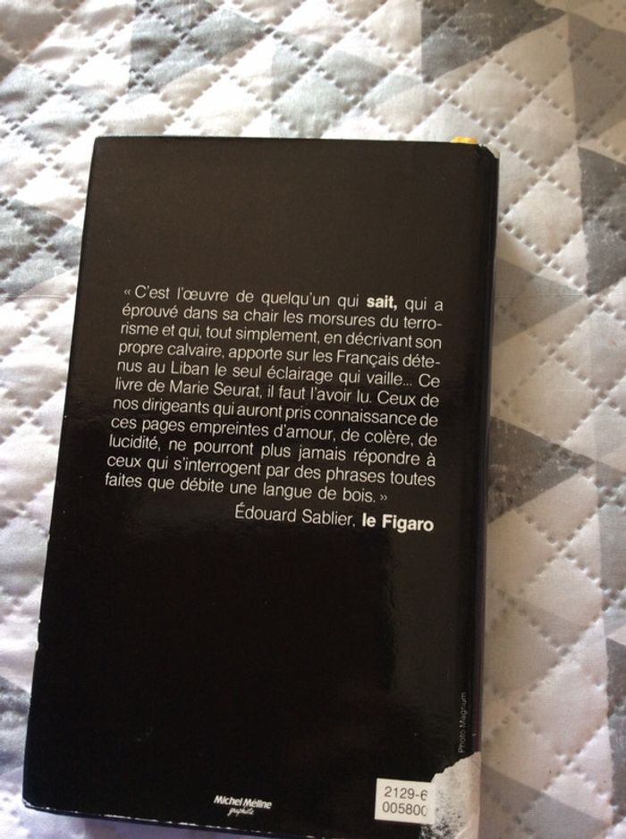 #les corbeaux d’Alep par Marie Seurat - photo numéro 4