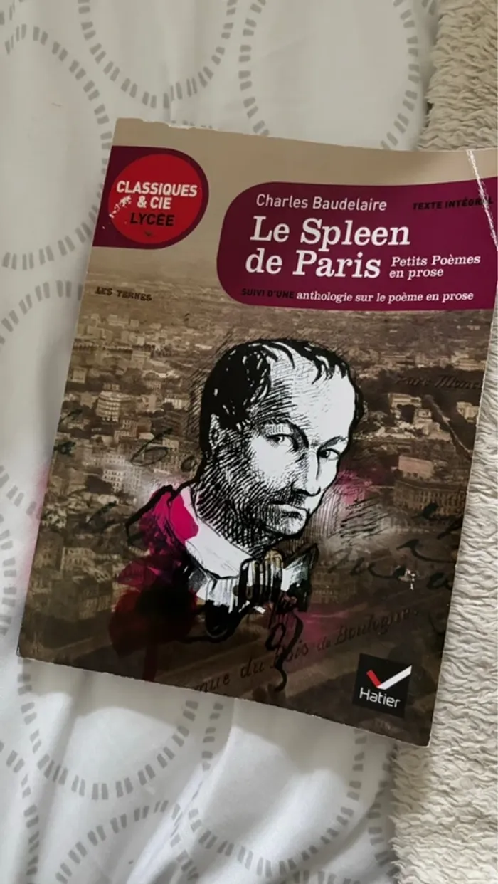 Le spleen de Paris Charles Baudelaire