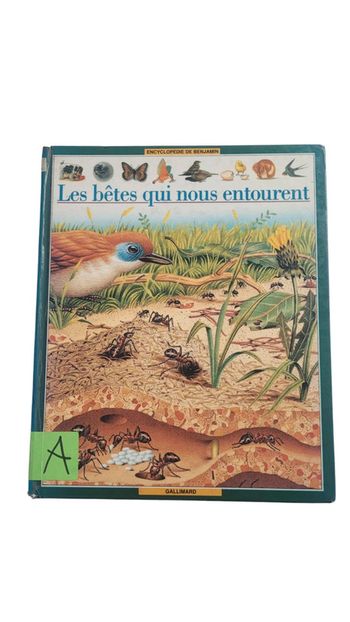 Livre enfants 🐦