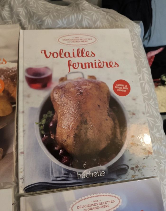 Lot de 4 livres de cuisine mes délicieuses recettes de grands-mères - photo numéro 4