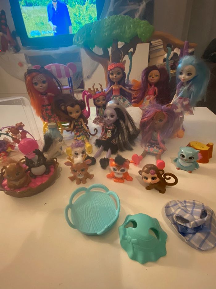 Lot Enchantimals - photo numéro 4