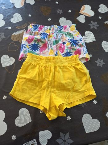 Lot 2 shorts 6a