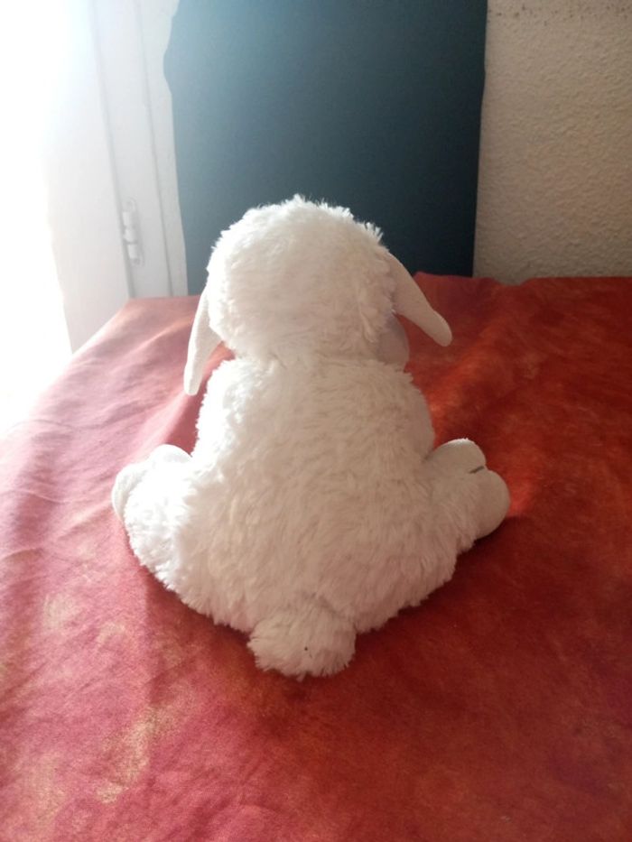 Mouton blanc Nicotoy - photo numéro 3