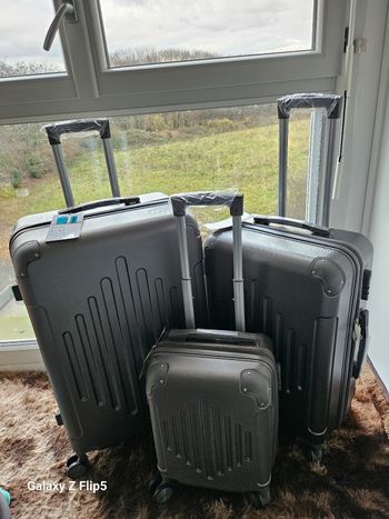 Vend le lot de 3 valise grise toute neuve dans carton