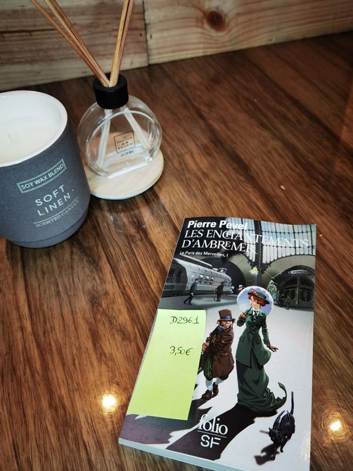 D2961 - livre "Les enchantements d’ambremer"