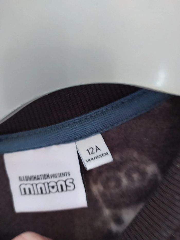 Pulls minons - photo numéro 4