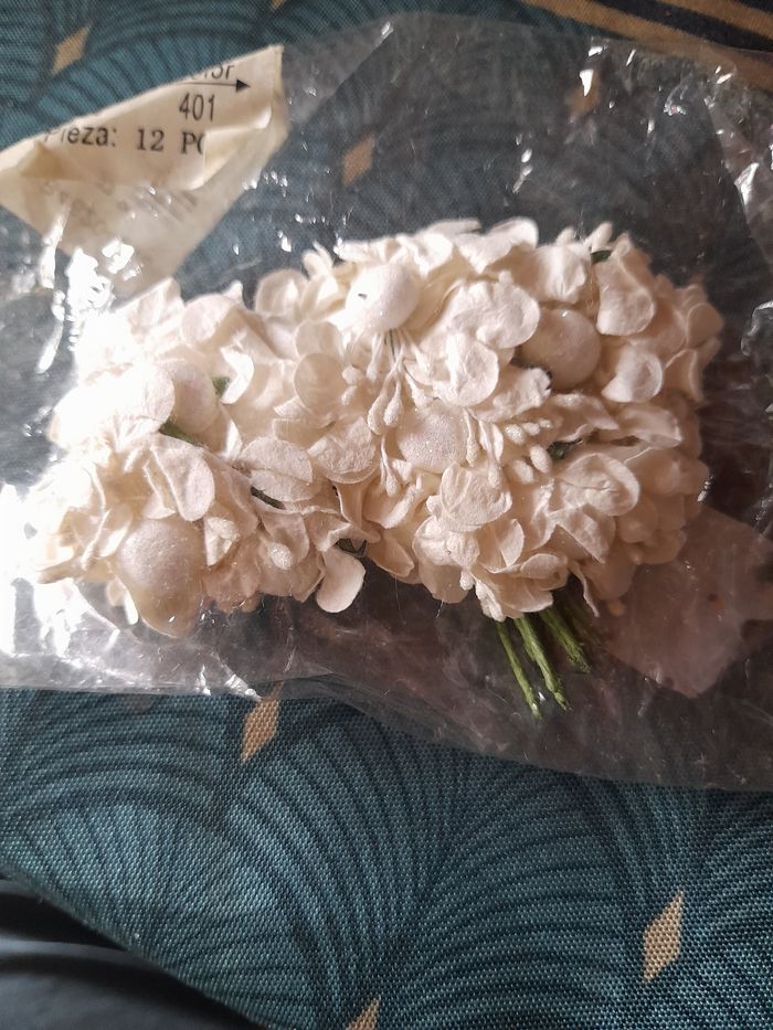 Fleurs