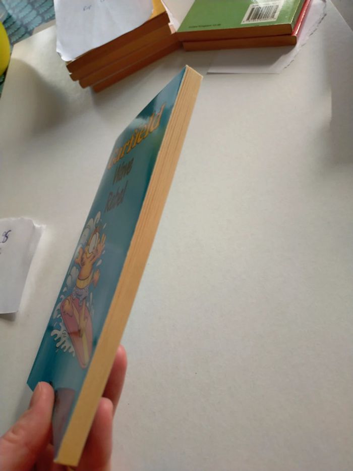 Garfield wave rebel - photo numéro 5