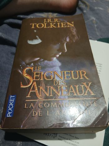 Livre le seigneur des anneaux