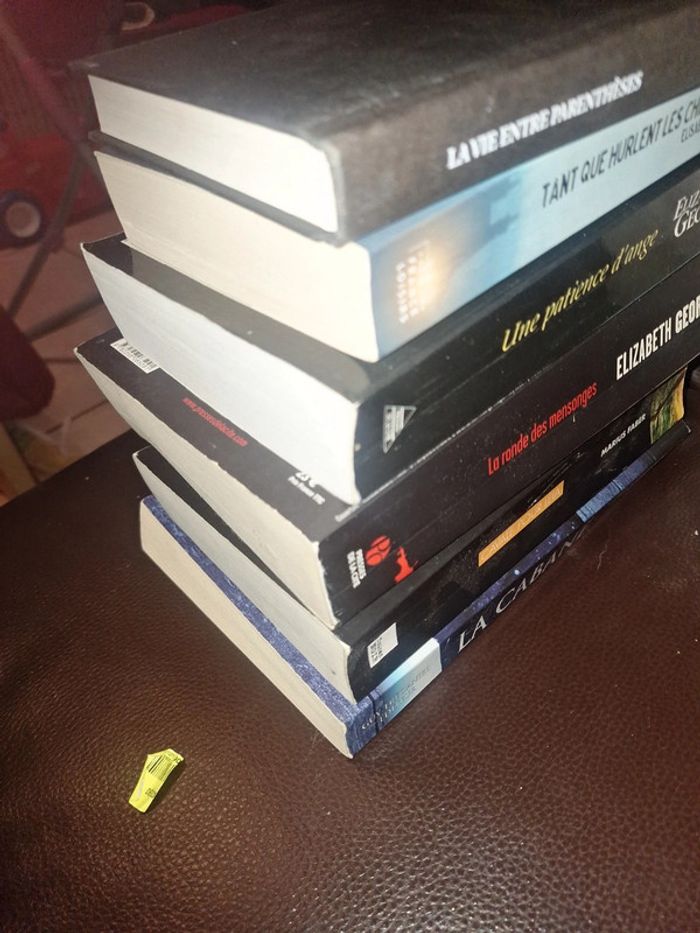 Très gros lot de livre pas chère - photo numéro 6