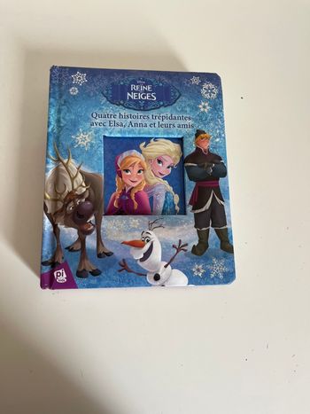 Livre reine des neiges 