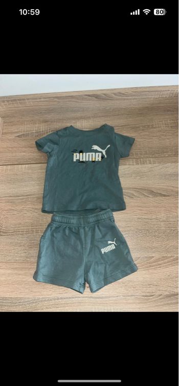 Ensemble PUMA